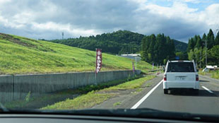 道路に並べられた参加校の旗